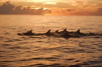 Hotel Moheli Laka Lodge