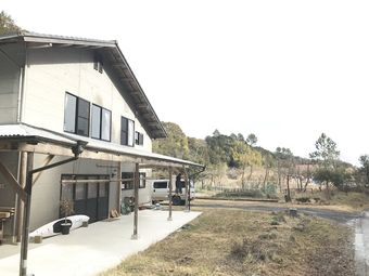 Apartamentos Rulo Classic Garden