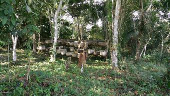 Hostal Nakoosi Eco Lodge & Backpackers