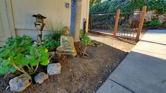 Hotel Clear Lake Vista Resort