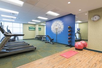 Hotel Springhill Suites Chicago Southeast/munster In