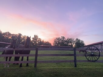 Posada Big South Fork Lodge