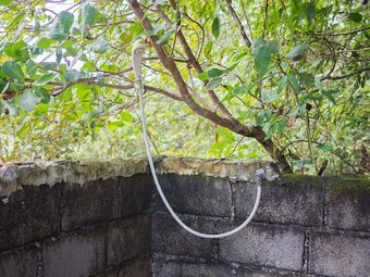 Hotel Wichai's Jungle Home Stay