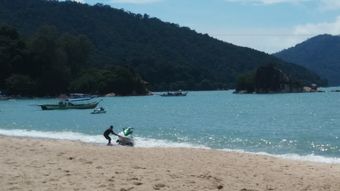 Pinang Beach Apartment At Bayu Emas