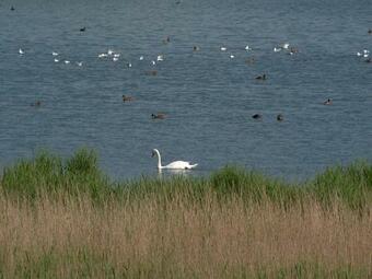 Hostal G�stehaus Gudrun