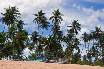 Hotel Sanjis The Seaside Cabanas