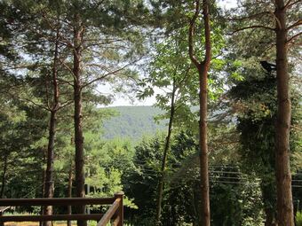 Sapanca Villa Natura