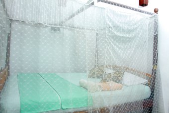 Hotel Blue Star Villa