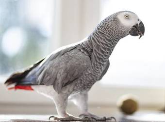 Kurhaus Hotel Bad Salzhausen