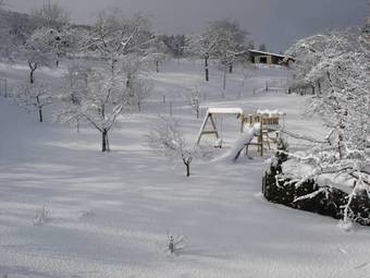 Hostal Gasthof Zum Hohen Lohr
