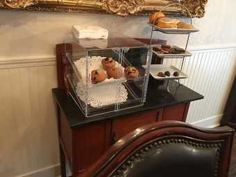 Bridget's Bed & Breakfast