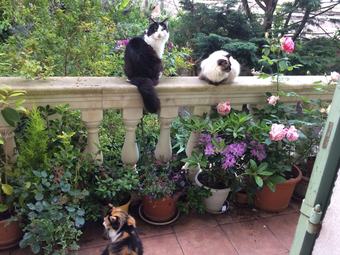 Hotel Azienda Salamo Villa Leona