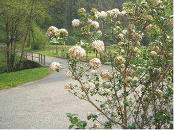 Gasthof & Landhotel Ohrnbachtal