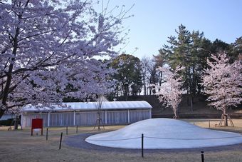 Hotel Laforet Shuzenji