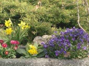 Hotel-restaurant Spitze Warte