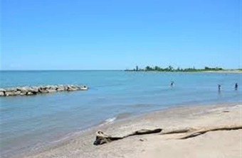 The Birdhouse Bed & Breakfast