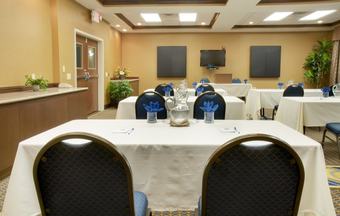 Hotel Holiday Inn Express & Suites Energy Corridor West Oaks