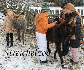 Hotel Sch�fflerhof