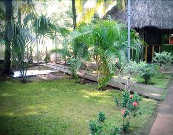 Hotel Papaya Lodge Las Flores