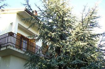 Bed & Breakfast Villa Caterina