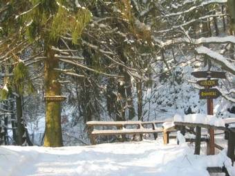 Hostal Hotel Restaurant Haus Gertrud