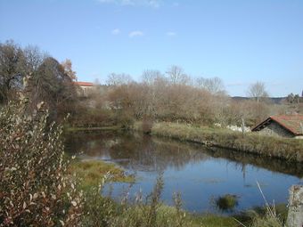 House With 3 Bedrooms In Saint-pal-de-senouire, With Wonderful Mountain View And Enclosed Garden