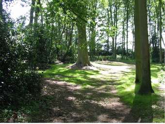 House With 3 Bedrooms In Angerville, With Wonderful City View, Enclosed Garden And Wifi