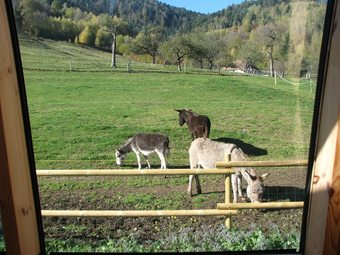 Hotel La Ferme Traitsanes