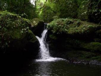 Hostal Reserva Ecol�gica Terra Do Sempre