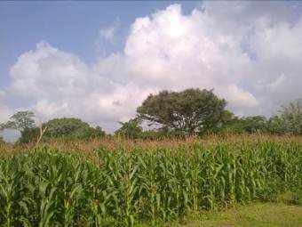 Apartamento Wilpattu Dilsara Holiday Resort