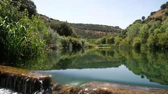 Agroturismo Casas Rurales Cortijobellavista