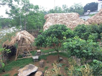 Posada Ninh Binh Bamboo Farmstay