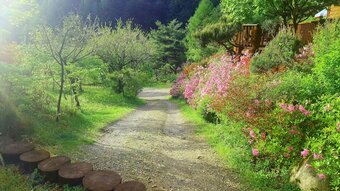 Fairy Tale Pension