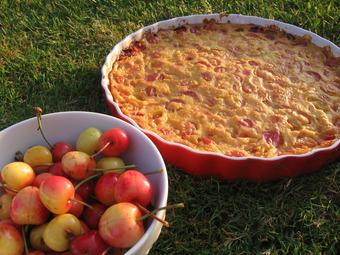 Hotel Au Domaine Des Camelias