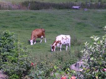 Agroturismo Willekes Bl�tenhof