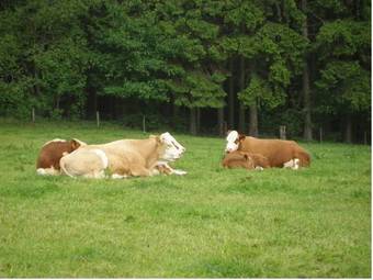 Agroturismo Ferienhof Hoppe