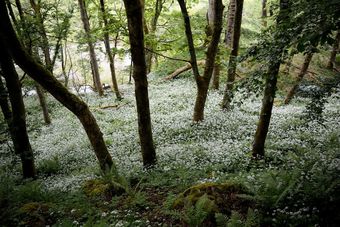 Thorney Mire Barn B&B