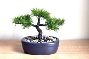 Apartamento Appartement Univers Marin