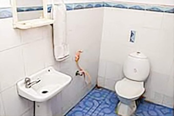 Ver fotos
