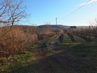 Ferienhaus Weinbergalm