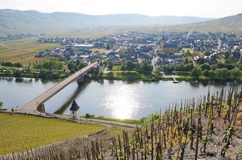 Hotel G�stehaus Moselkloster