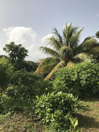 Apartment With One Bedroom In Saint-joseph, With Wonderful Mountain View, Furnished Garden And Wifi - 10 Km From The Beach