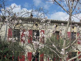 Hotel Au Pied Du Figuier