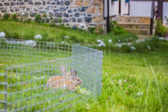 Villa ?aml?o?lu Historical Mansion