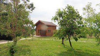 Les Chalets Des Chanterelles