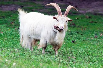 Agroturismo Quinta Dos Moinhos