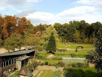 Apartment Im Rheintal Freiburg