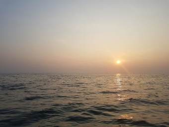 Hotel Negombo Holiday Home