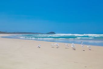 Sandpiper Beach Front House