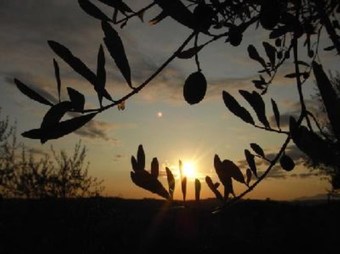 Agroturismo Agriturismo Podere Sottogello